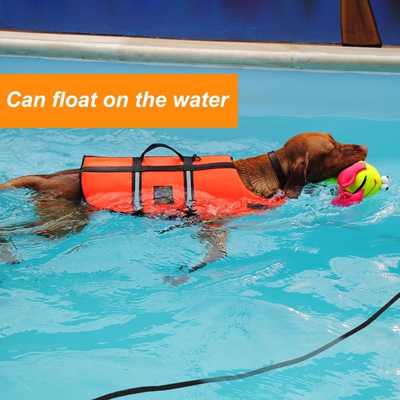 Vivifying Floating Long Dog Leash, 32ft Dog Training Leash for Outside and Yard, Durable Long Line Lead with Soft Handle for Camping, Hiking, Swimming, Beach and Lake (Black) - Image 2